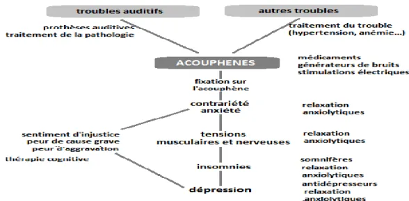 Figure 25 : Effets des acouphènes et thérapeutiques possibles 