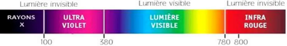 Figure 14 : Spectre de la lumière visible et invisible  344- Rayonnements infrarouges 