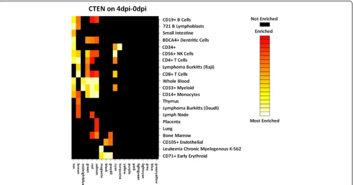 Fig. 4 Cell Type Enrichment (CTEN) analyses on the 4dpi-0dpi dataset. The WGCNA clusters are noted along the abscissa