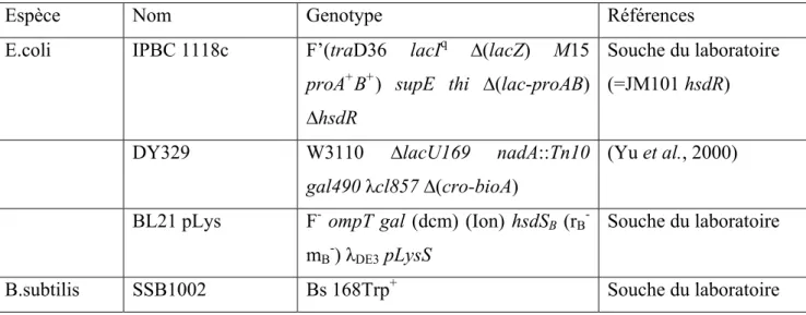 Table 1: Souches utilisées et leurs génotypes 