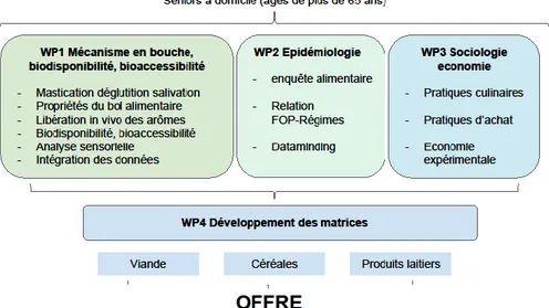 Figure  5:  organisation  des  « work  packages »  du  projet  AlimaSSenS,  organisation  et  articulation des différentes parties du projet