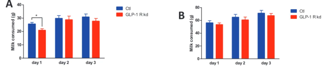 Figure 15: Raspberry flavoured sweet milk consumption upon 3 days (milk is removed after 4H of exposure) of Ctl and GLP-1R kd  GLP-1R kd reduced their milk consumption 1 h after exposure on day 1