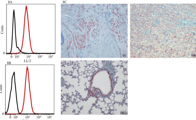 Figure 9 : Résistance des cellules tumorales in vitro au cisplatine avec ou sans l’agoniste de  TLR7