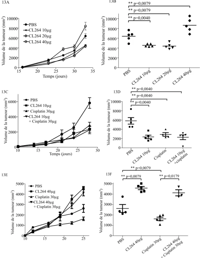 Figure  13 :  Effets  de  la  stimulation  de  TLR7  dans  un  modèle  de  souris  immunocompétentes