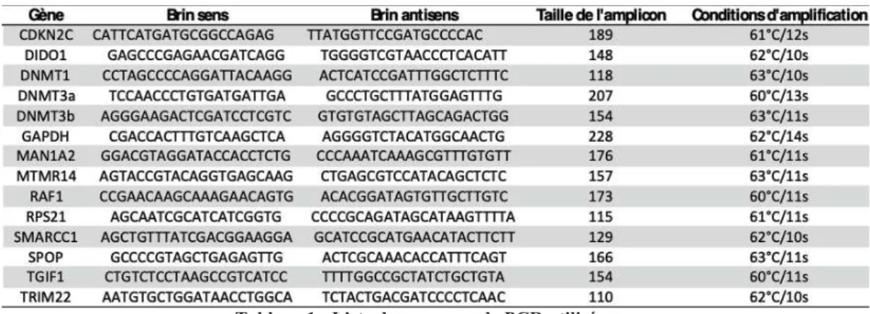 Tableau 1 : Liste des amorces de PCR utilisées 