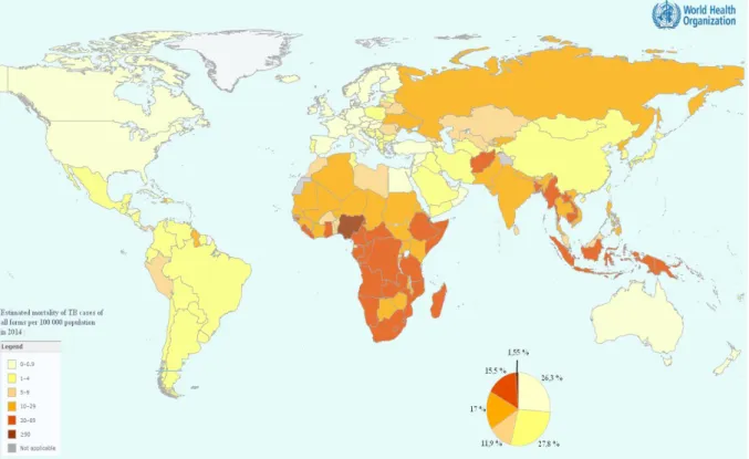 Figure 1 - World tuberculosis' mortality map in 2014 (World Health Organization, 2015)