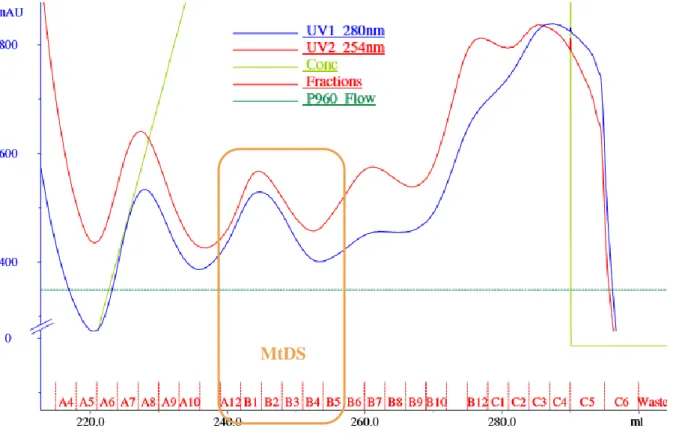 Figure 9 - Nickel-column purification chromatogram.  The blue and red  curves are the UV 280 nm and 254 nm that are  related  to  protein  concentration