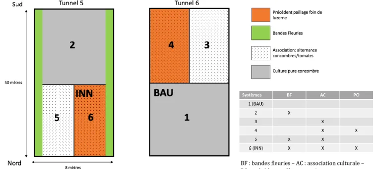 Figure 1 : Disposition des modalités et leviers de l’essai Greenresilient sur les tunnel 5 et 6 