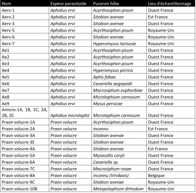 Tableau 6 : Parasitoïdes intégrés à l'arbre (Derocles et al, 2015 ; Navasse com. pers.) 