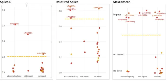 Figure 5: Performance of algorithms predicting impact of splicing for deep exonic variants  Results of three splice prediction computational tools are shown for 21 CAPN3 missense variants  tested by minigene assay