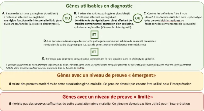 Figure 4. Le  système utilisé par PanelApp pour classer les gènes   