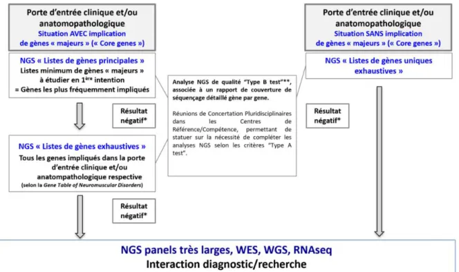 Figure 5.  Stratégie consensuel de diagnostic des myopathies par séquençage à haut débit  en France