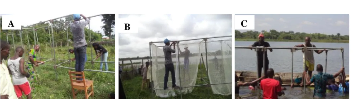Figure 7 : Installation  des  infrastructures  dans  les  retenues  d’eau  (A:  montage  des  cadres  à Batran  ;  B : montage  des  poches  de  filets  à  Batran ; C: installation  des  cadres  dans  l’eau  à Songhaï) (Travaux de recherche, 2016)