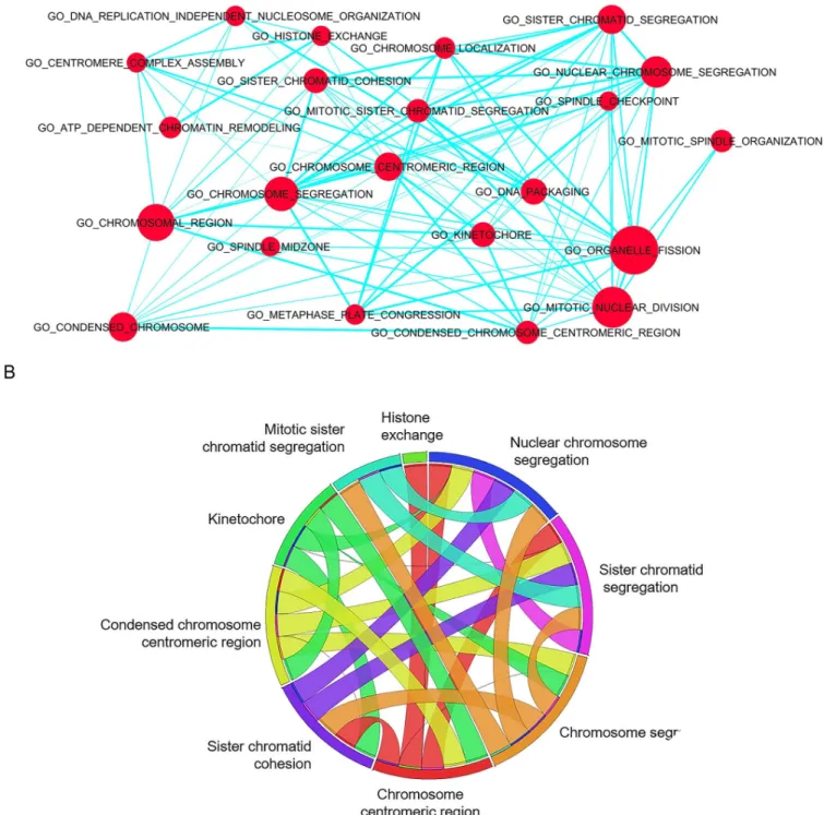 Fig 3. Gene set enrichment in B cells from sheep infected by wild-type virus compared to miRNA deletant