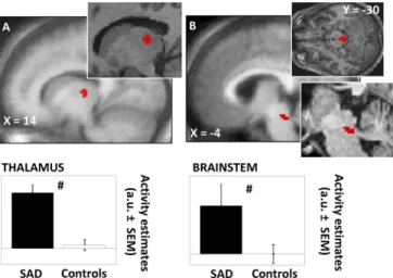 Table 2. fMRI Results