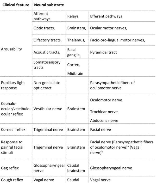 Table  1  :  Brain  functions  that  are  to  be  absent  on  clinical  assessment  as  a  prerequisite  for  diagnosing  brain  death with the either concept, ‘‘brainstem death” and brain death