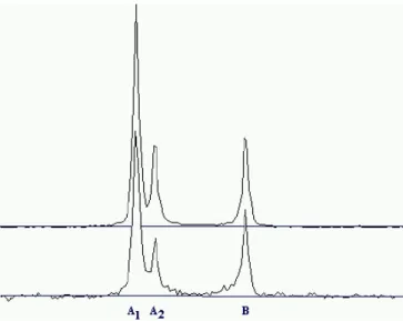 Fig. 9. Flux distribution projected along the arc in I (upper curve) and R (lower curve), showing the important contribution of the arc underneath A2.