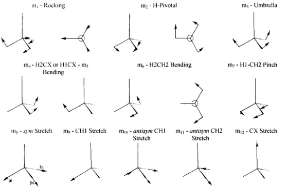 Fig. 3. Schematic representation and description of nuclear symmetry coordinates mi of CH 3 X +  in the C s