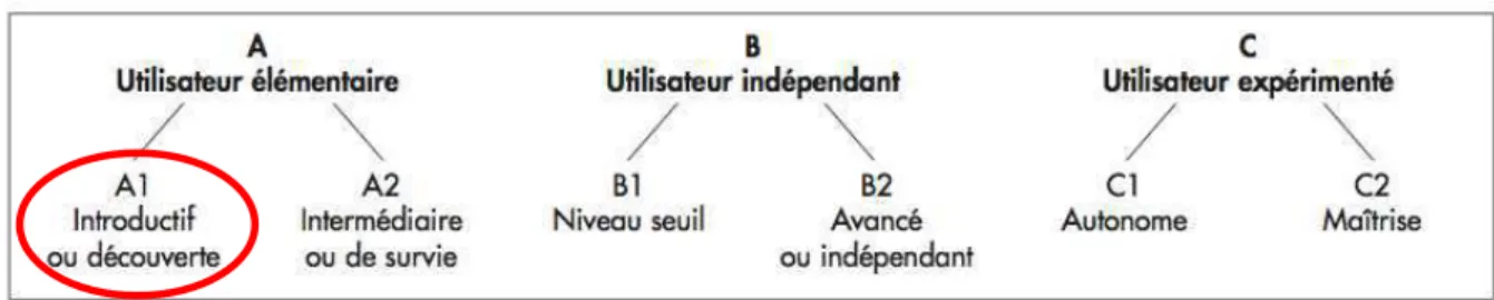 Figure 2: Niveaux communs de compétences en langue 