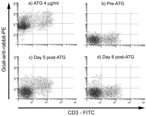 Figure 1. Staining of normal white blood cells with (a) ATG diluted at 4 ␮g/mL; and (b-d) sera from a dog treated with ATG 4 mg/kg, drawn at baseline and on days 5 and 8 after ATG administration.