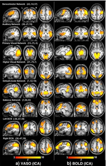 FIG. 1. Brain networks detected by the independent compo- compo-nent analysis of the VASO (a) and BOLD (b) data.