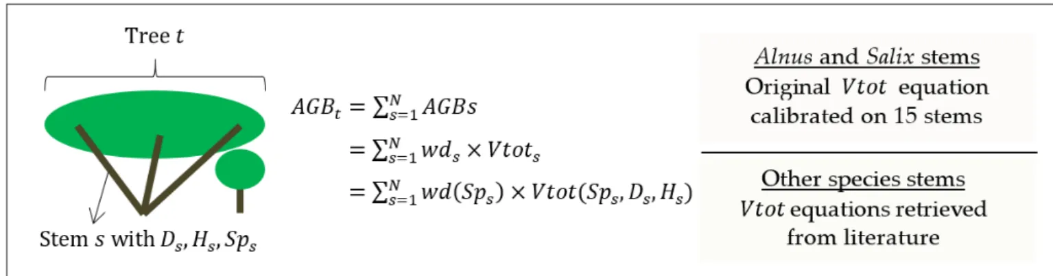 Figure 2. Diagram of the field estimation of tree biomass. t = tree index, s = stem index within the tree t, N = number of  stems within the tree t, AGB = aboveground biomass, wd = wood density retrieved from [48], Vtot = total wood volume, Sp 