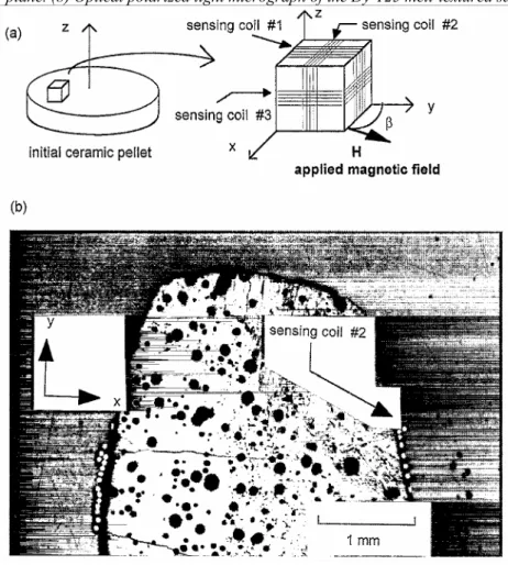 Fig. 1. (a) Configuration of the sensing coils, β denotes the angle between the applied magnetic field and the y- y-direction in the xy-plane