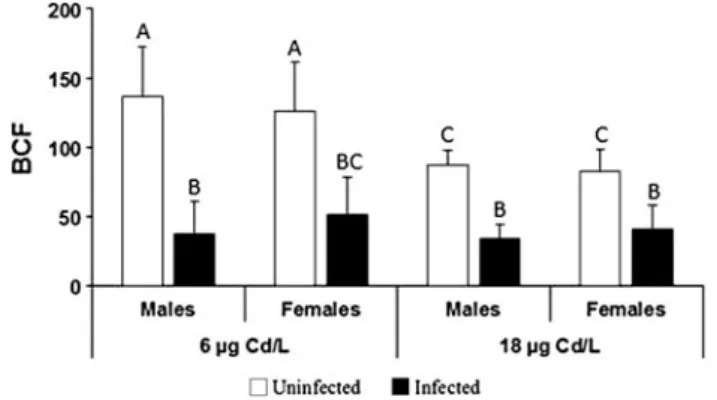 Fig. 4 Bioconcentration factors (BCFs) of G. roeseli according to the gender, the infection status and the cadmium exposure