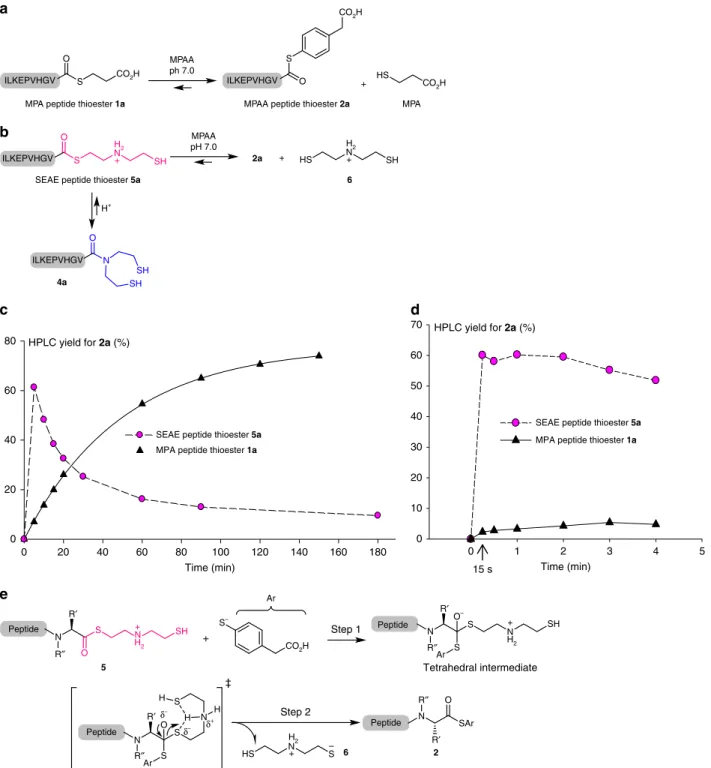 Fig. 2 Evidence for the enhanced reactivity of SEAE peptide thioesters. a Principle of the thiol-thioester exchange between MPA peptide thioester 1a and MPAA