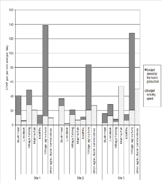 Figure 1. Distribution of budget actually spent or saved by the home production   of meals components in the three study sites (CFAF per person and per day)
