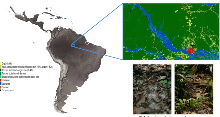 Fig. 1 Study area and sampling design.