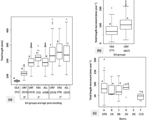 Fig. 4. Total lengths of restocked eels according to age and rivers. Rivers are A, B, C, D, E and F