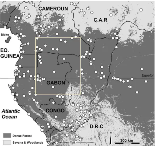 Figure 1  Location of the 328 dated archaeological sites in central Africa. The square indicates the forest hin- hin-terland between 4N and 130S and 1030E and 1500E.