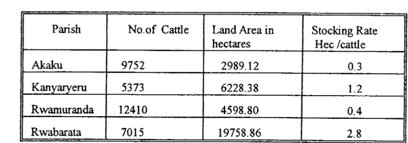 Table 4.3:  Expected Cattle Stocking  Rates 