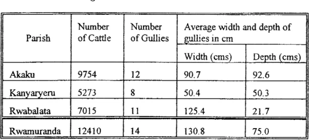 Table 4.5: Approximate number of cattle, gullies, average depth and  width of gullies  Parish  Number  of Cattle  Number  of Gullies 