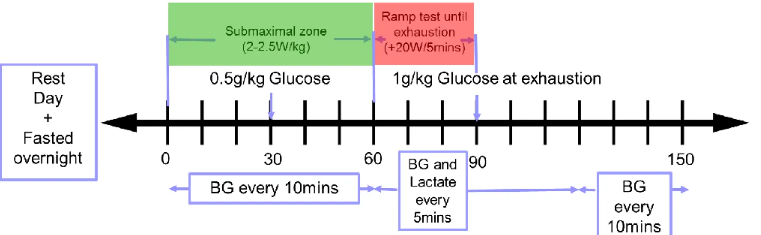 Figure 2: Schematic of exercise trial protocol
