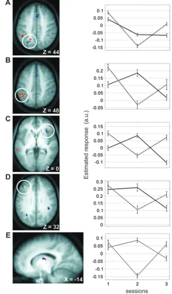 Figure 3. Comparison of the brain modulations observed during blue light condition (470 nm) and green light condition (550 nm)