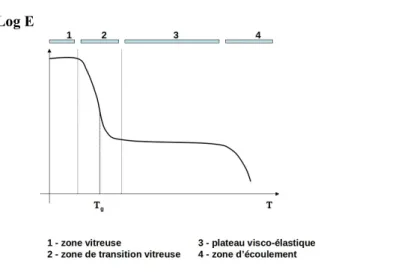 Illustration 2: Schéma représentant la déformation mécanique d'un  polymère amorphe en fonction de la température, d'après cours de  chimie des polymères du Pr