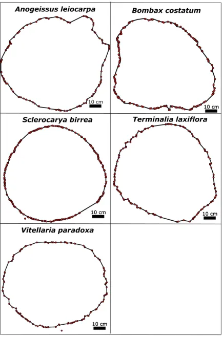 Fig. 2. Digitised stem cross-sections of the study species. The red dots are point clouds obtained with a stem disk of 7 mm in thickness.
