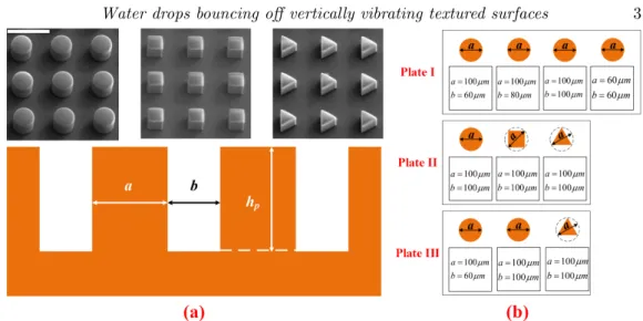 Figure 1. (a) Sketch of the micro-pillar patterns. The parameter a, b and h p are the diameter of circumscribed circle to the pillar section, the distance between two neighboring pillars and the height of a pillar, respectively