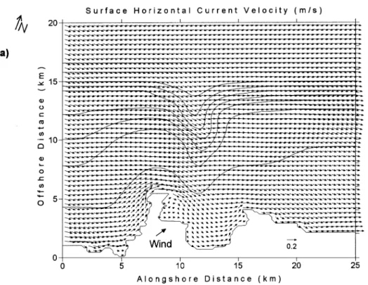 Fig. 6. Horizontal distribution of currents for the weakly stratified, northeastward wind case