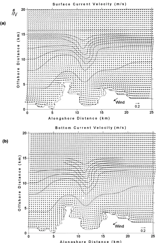 Fig. 7. Horizontal distribution of currents for the weakly stratified, south – southwestward wind case