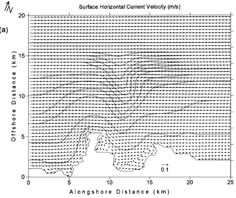 Fig. 4. Horizontal distribution of currents for the strongly stratified, no-wind case