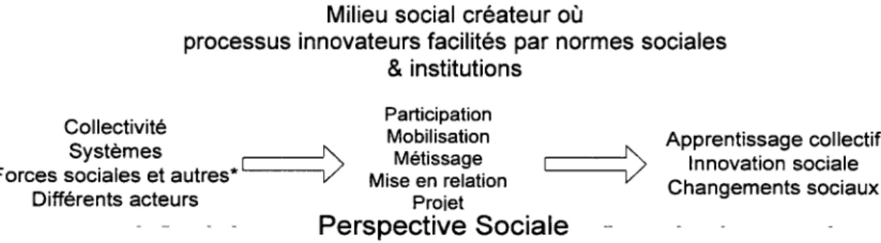 Figure 7 - Schématisation de la perspective sociale intégrant ses grandes dimensions 