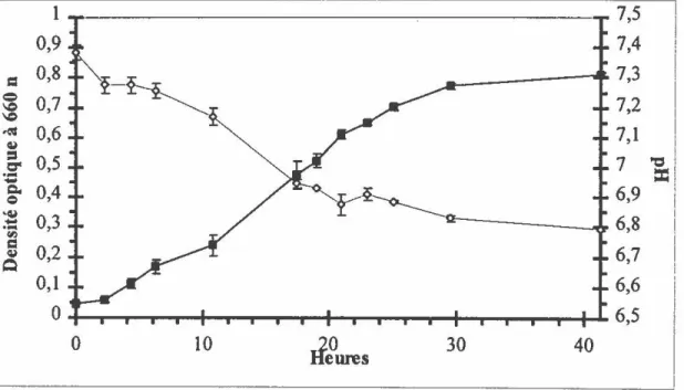 Fig.  1 : Courbe de croissance de  la souche PCP-1  en milieu de culture LMA  contenant  55  mM  de  pyruvate,  10  mg/1  de  2,4,6-TCP  et 0,1  %  d'extrait  de  levures