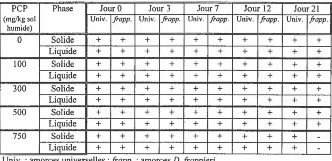 Tableau  5  :  Détection  par  PCR  de  la  souche  PCP-1  dans  des  bioréacteurs  rotatifs  contenant du sol  MS 1 contaminé par différentes doses de PCP  lors de  l'expérience sur le  suivi de la souche PCP-1 