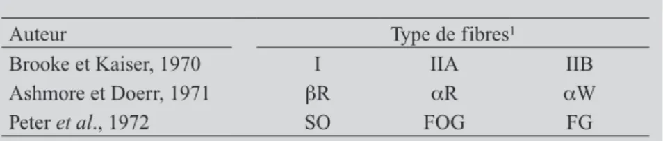 Tableau I : Classification des différents types de fibres musculaires chez les  mammifères selon différents auteurs