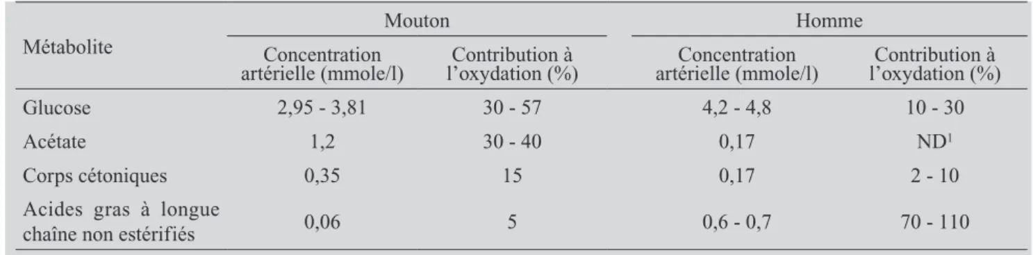 Tableau  III :  Concentration  sanguine  (mmole/l)  et  contribution  maximale  au  métabolisme  oxydatif  de  différents  métabolites dans le muscle squelettique (%) chez le mouton à l’entretien et chez l’homme (d’après Pethick, 1984)