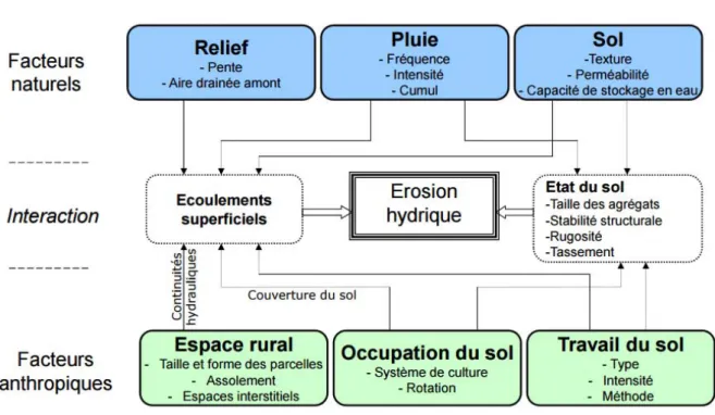 Figure 1 : Facteurs de l'érosion hydrique des sols. (Source : Blandine Lemercier) 