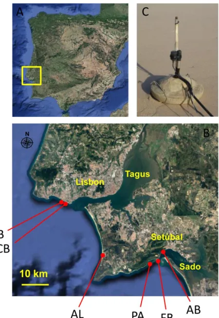Fig. 1. Recording locations and setup. Aerial photo map of the Iberian Peninsula (A)  and a detailed map (B, inset) showing the recording locations